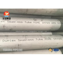 Tubes sans soudure en acier duplex ASTM A789 UNS S31500